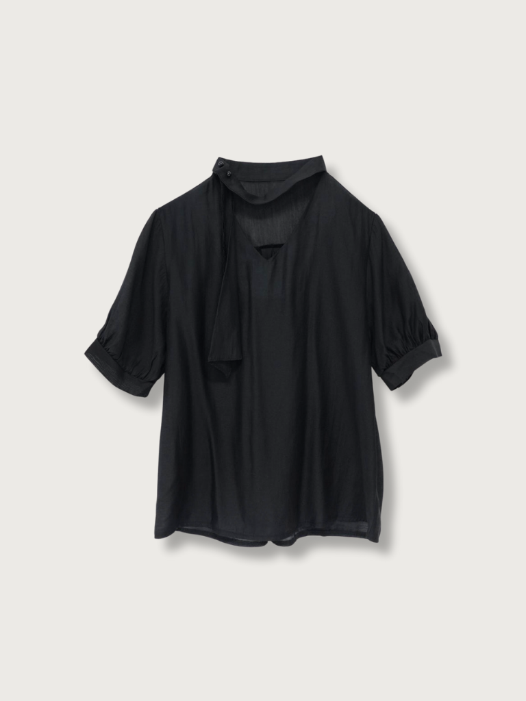 sheer tie blouse