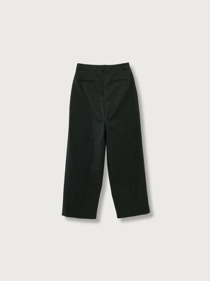 wide tucked pants