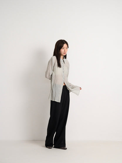 crinkle sheer shirt