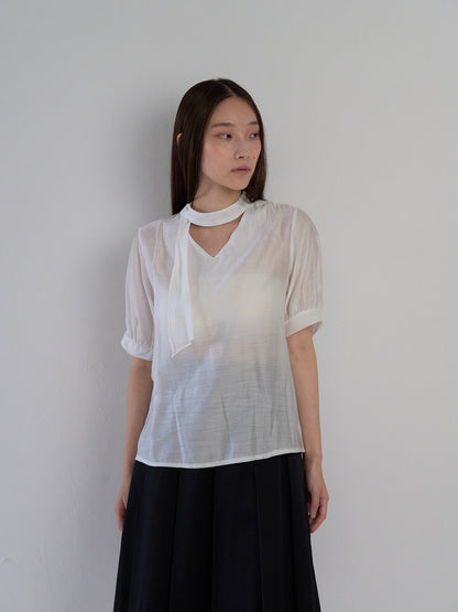sheer tie blouse
