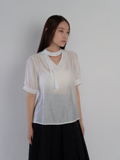 sheer tie blouse