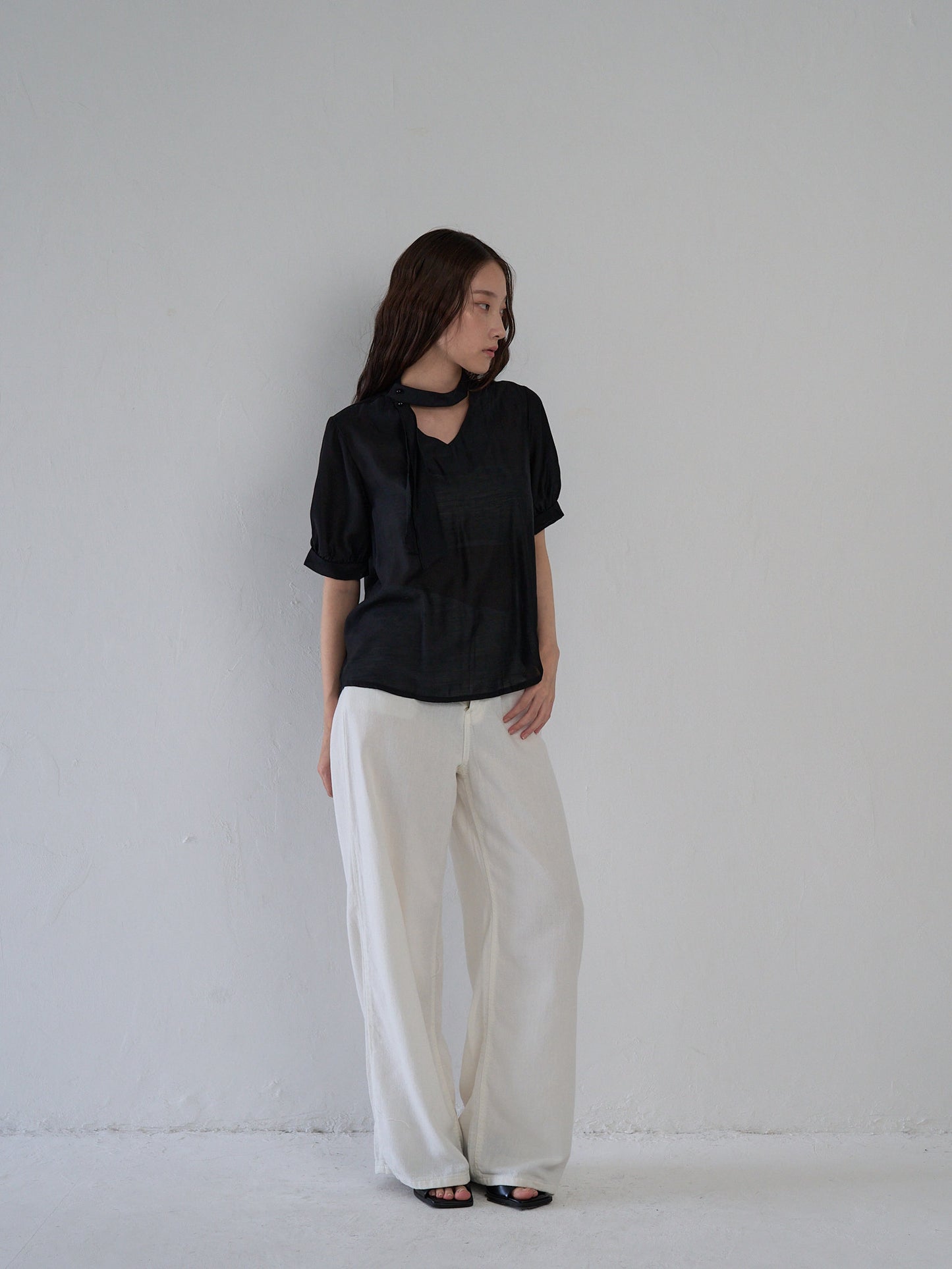 sheer tie blouse